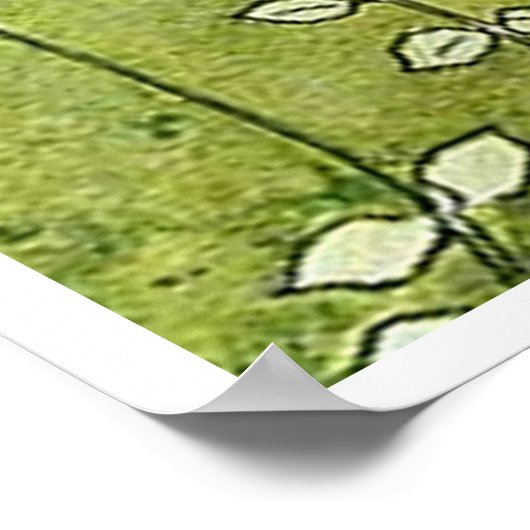 Vintag Elsa Beskow Fairy Ring Poster (Ecke)