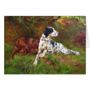 Vintag - englischer u. Setter-Hunde,