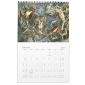 Vintag Ernst Haeckel, Biologie, Botanik, Wissensch Kalender (Jan 2026)