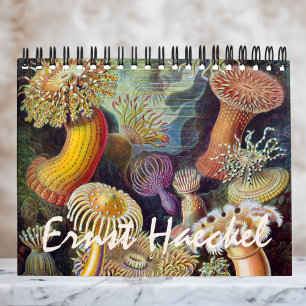 Vintag Ernst Haeckel, Biologie, Botanik, Wissensch Kalender