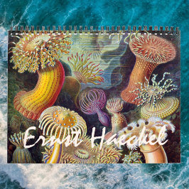 Vintag Ernst Haeckel, Biologie, Botanik, Wissensch Kalender