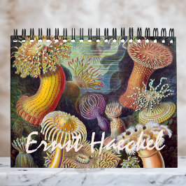 Vintag Ernst Haeckel, Biologie, Botanik, Wissensch Kalender