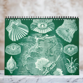 Vintag Ernst Haeckel, Biologie, Botanik, Wissensch Kalender