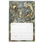 Vintag Ernst Haeckel, Biologie, Botany, Science Ca Kalender (Jan 2027)