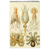 Vintag Ernst Haeckel, Biologie, Botany, Science Ca Kalender (Titelbild)