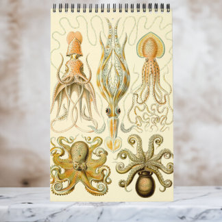 Vintag Ernst Haeckel, Biologie, Botany, Science Ca Kalender