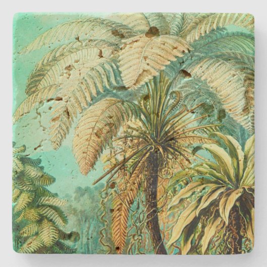 Vintag Ernst Haeckel Botanische Palmen Steinuntersetzer (Vorderseite)