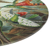 Vintag Ernst Haeckel Hummingbirds Schneidebrett (Ecke)