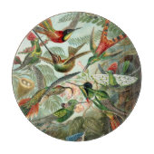 Vintag Ernst Haeckel Hummingbirds Schneidebrett (Vorderseite)