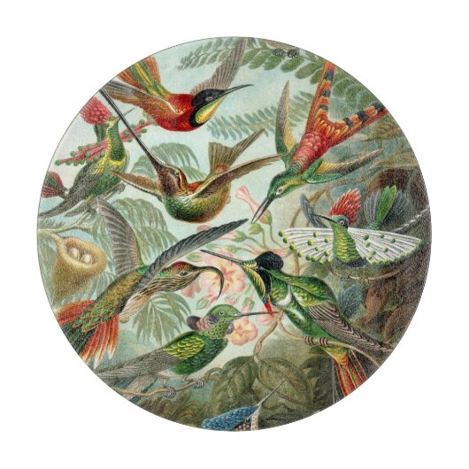 Vintag Ernst Haeckel Hummingbirds Schneidebrett (Vorderseite)
