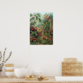 Vintag Ernst Haeckel Moss Poster (Küche)