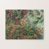 Vintag Ernst Haeckel Moss Poster Puzzle (Horizontal)
