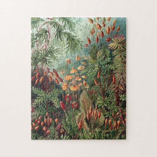 Vintag Ernst Haeckel Moss Poster Puzzle (Vertikal)