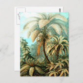 Vintag Ernst Haeckels Kunstformen der Natur Postkarte (Vorne/Hinten)