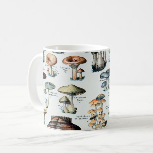 Vintag essbare Mushroom Chart Kaffeetasse (Vorderseite Links)