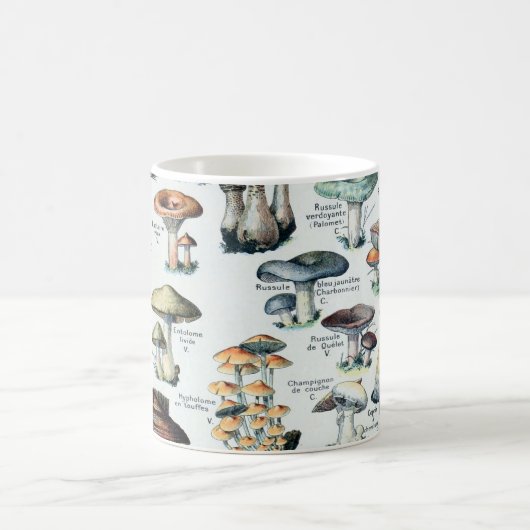 Vintag essbare Mushroom Chart Kaffeetasse (Mittel)
