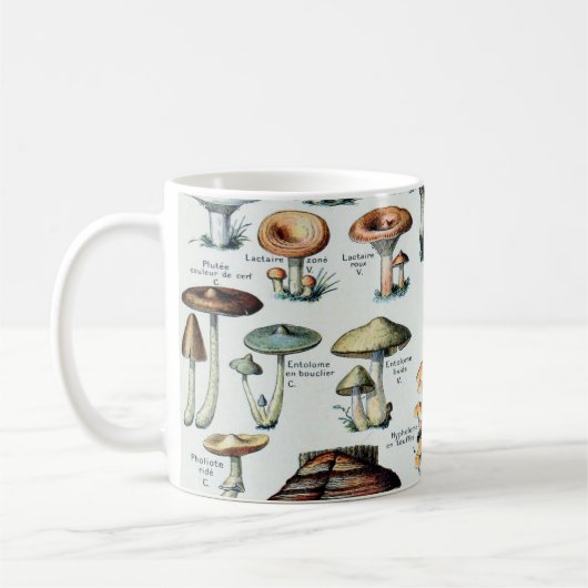 Vintag essbare Mushroom Chart Kaffeetasse (Links)
