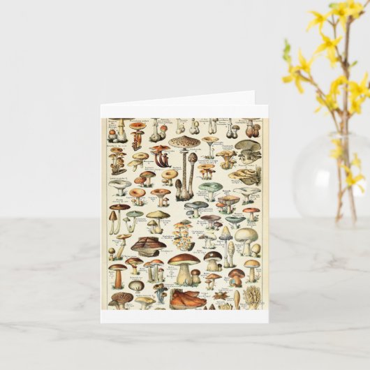 Vintag essbare Mushroom Chart Karte (Gelbe Blume)