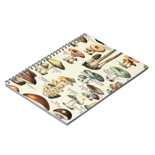 Vintag essbare Mushroom Chart Notizblock (Linke Seite)