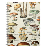 Vintag essbare Mushroom Chart Notizblock (Vorderseite)