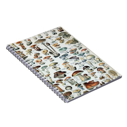 Vintag essbare Mushroom Chart Notizblock (Rechte Seite)