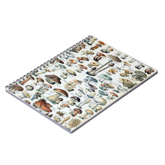 Vintag essbare Mushroom Chart Notizblock (Linke Seite)