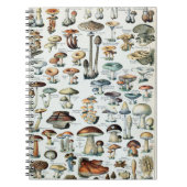 Vintag essbare Mushroom Chart Notizblock (Vorderseite)