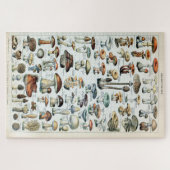 Vintag essbare Mushroom Chart Puzzle (Horizontal)