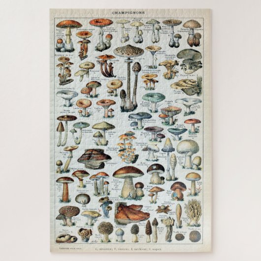 Vintag essbare Mushroom Chart Puzzle (Vertikal)