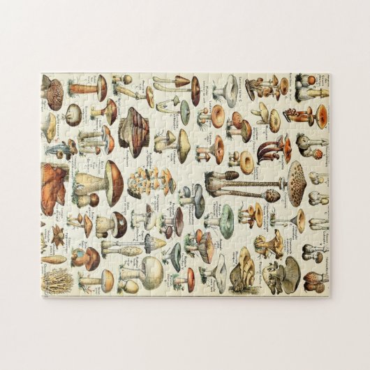Vintag essbare Mushroom Chart Puzzle (Horizontal)