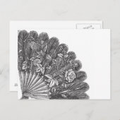 Vintag Feathery Fan Postkarte (Vorne/Hinten)