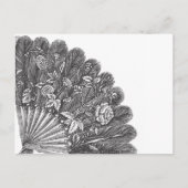 Vintag Feathery Fan Postkarte (Vorderseite)
