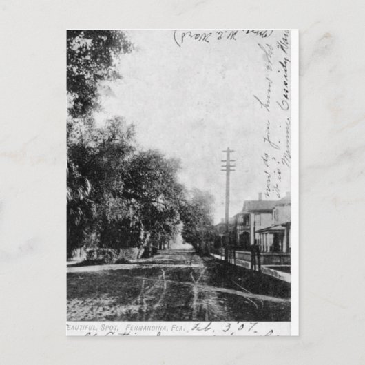 Vintag Fernandina Beach Florida Postcard Postkarte (Vorderseite)