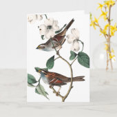 Vintag Finch und Dogwood, Muttertag Karte (Gelbe Blume)