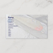 Vintag Fishmaster Jerry Sylvester Flaptail Lure Visitenkarte (Vorderseite)