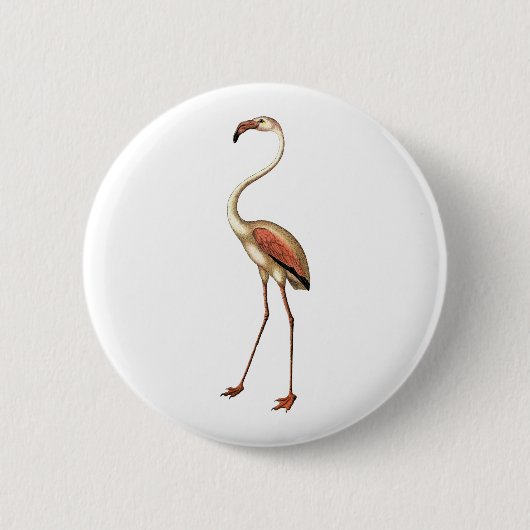 Vintag Flamingo Button (Vorderseite)