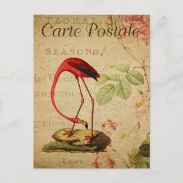 Vintag Flamingo Pink Roses Floral Französisch Postkarte