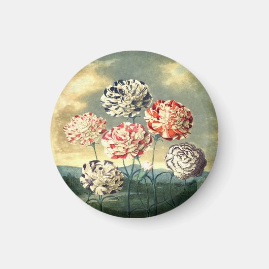 Vintag Floral Magnet (Vorne)