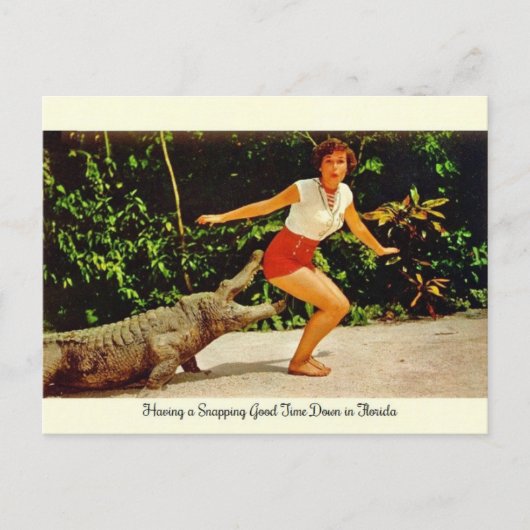Vintag Florida Alligator Postkarte (Vorderseite)