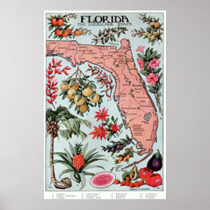 Vintag Florida Everglade Staat Obst und Blume Poster