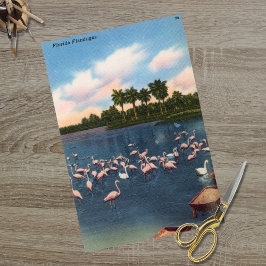 Vintag Florida Flamingos Seidenpapier