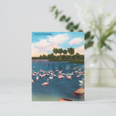 Vintag Florida Flamingos Travel Postcard Postkarte (Stehend Vorderseite)