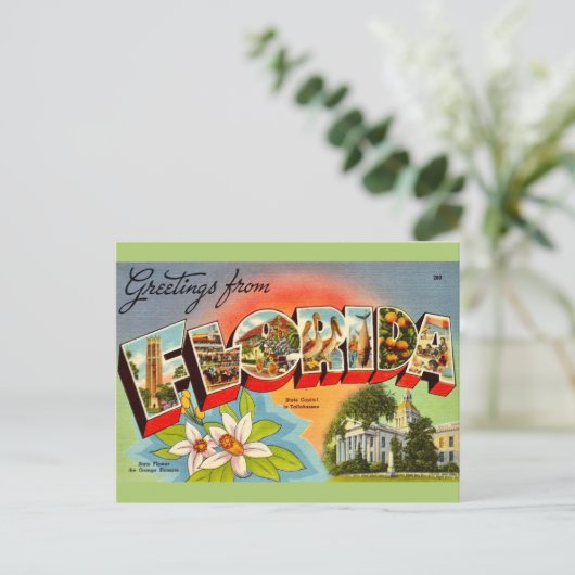 Vintag Florida Gruß Postkarte (Stehend Vorderseite)