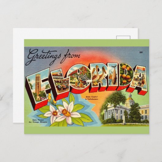 Vintag Florida Gruß Postkarte (Vorne/Hinten)