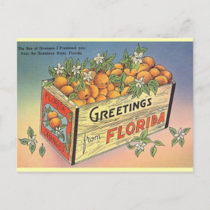 Vintag Florida Orange Postkarte