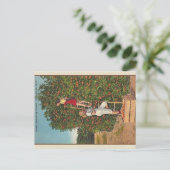 Vintag Florida Orange Postkarte (Stehend Vorderseite)