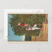 Vintag Florida Orange Postkarte (Vorne/Hinten)