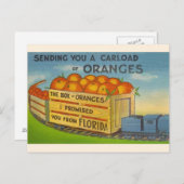 Vintag Florida Orangen Postkarte (Vorne/Hinten)