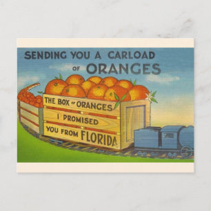 Vintag Florida Orangen Postkarte