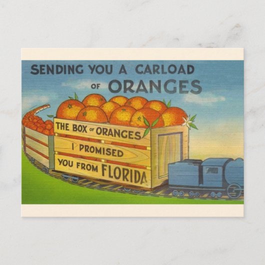 Vintag Florida Orangen Postkarte (Vorderseite)